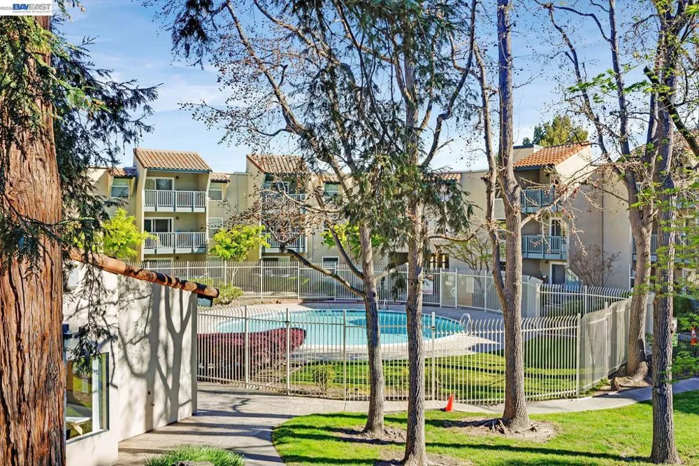 1087 Murrieta Blvd #242 Livermore, CA 94550