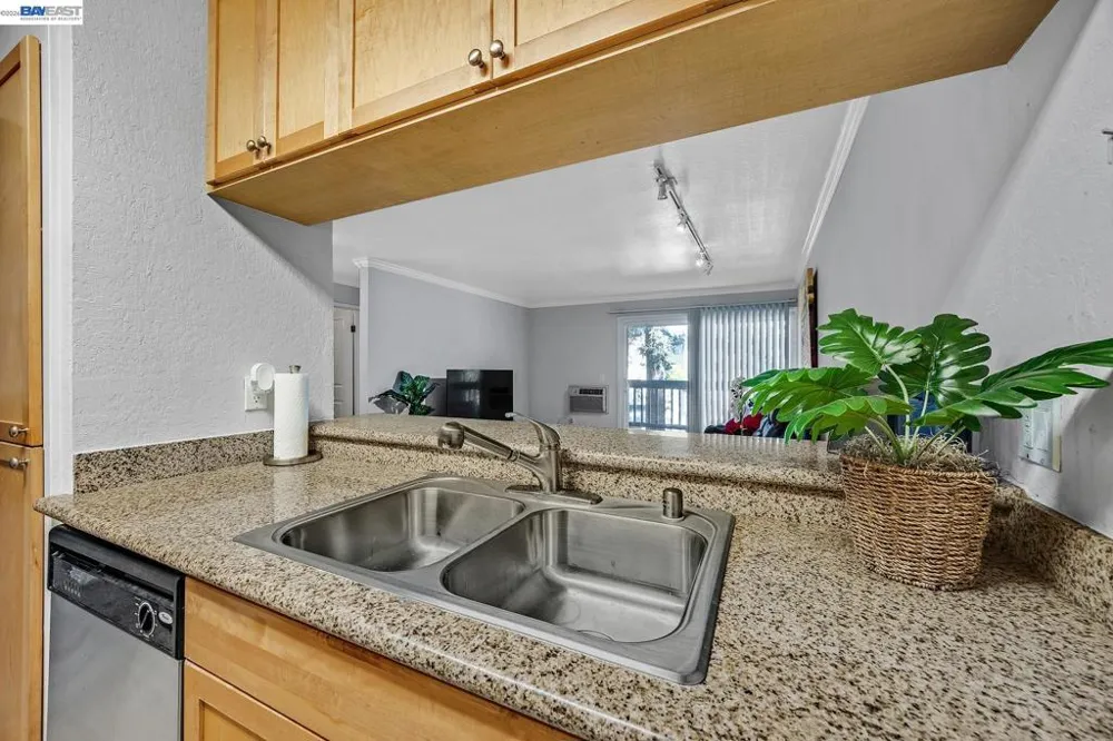 1087 Murrieta Blvd #242 Livermore, CA 94550