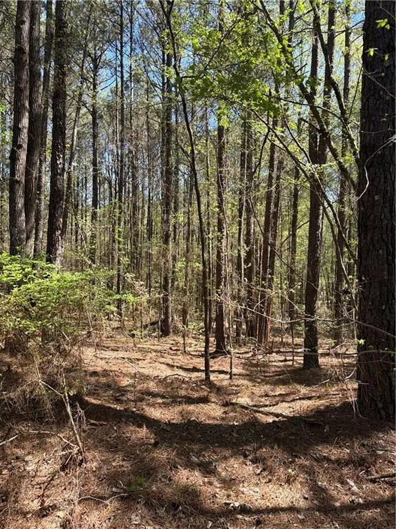 N/A Old Union Point Road Greensboro, GA 30642