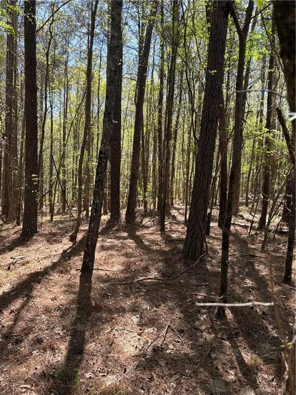 N/A Old Union Point Road Greensboro, GA 30642