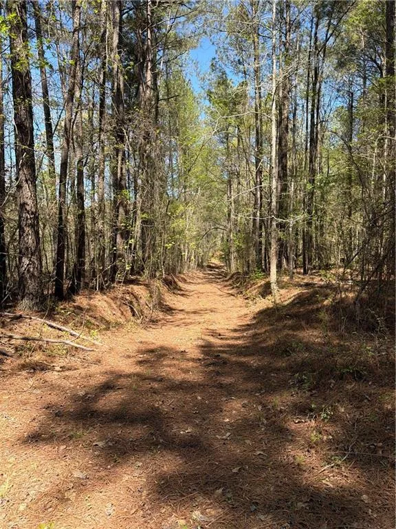 N/A Old Union Point Road Greensboro, GA 30642