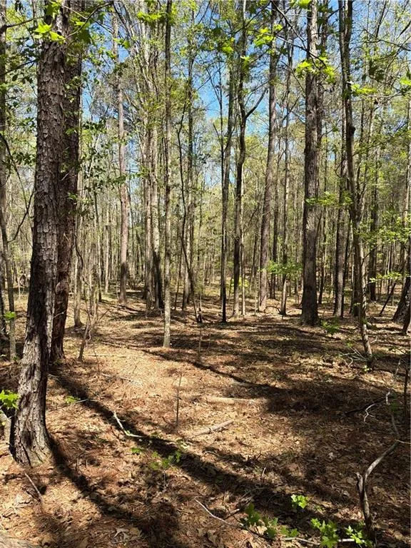 N/A Old Union Point Road Greensboro, GA 30642