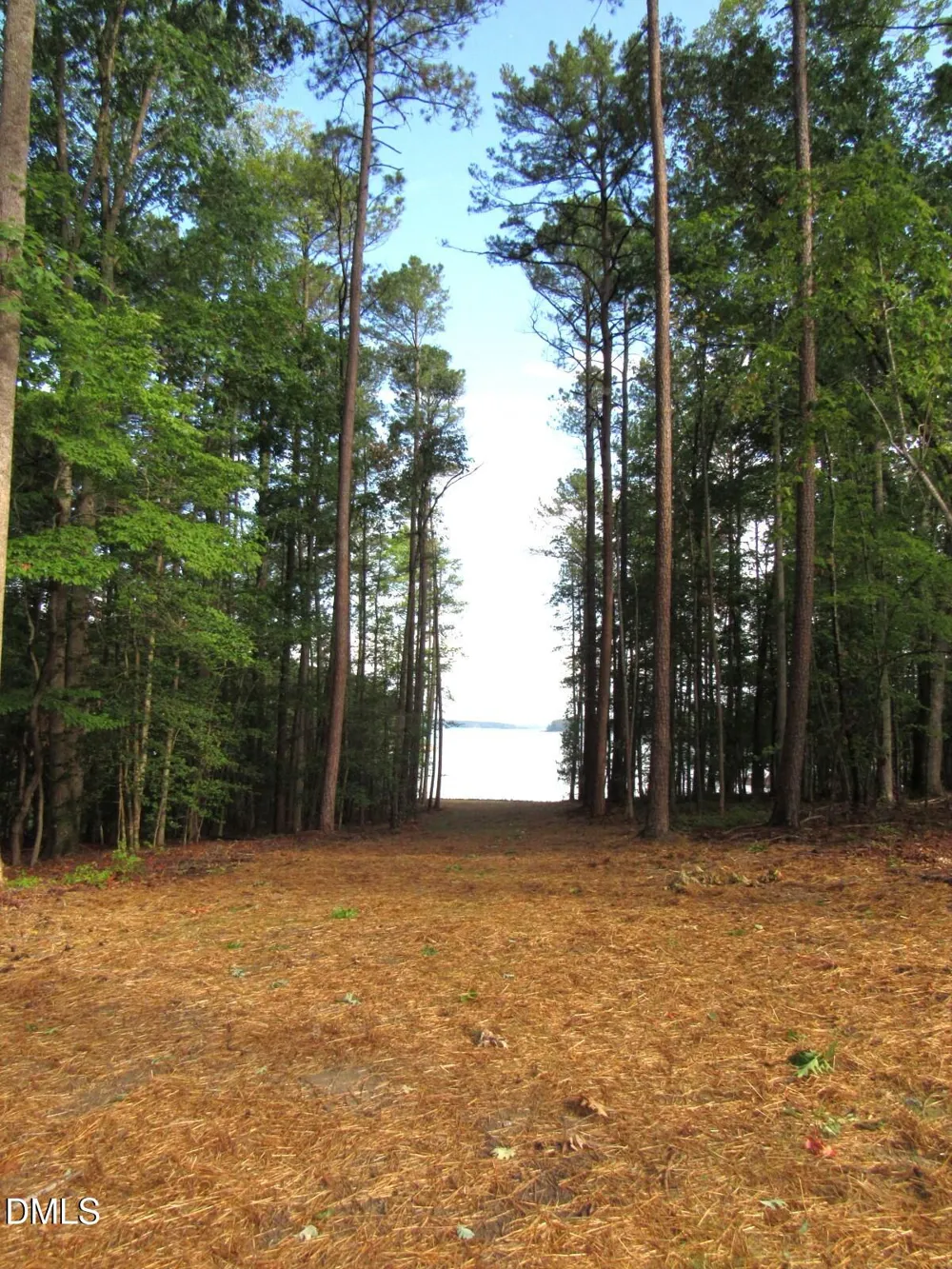 149 Shoreline Drive Manson, NC 27553
