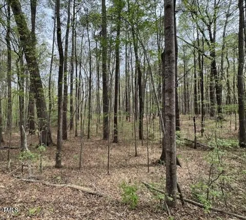 0 Lot 336 Forest Hills Drive