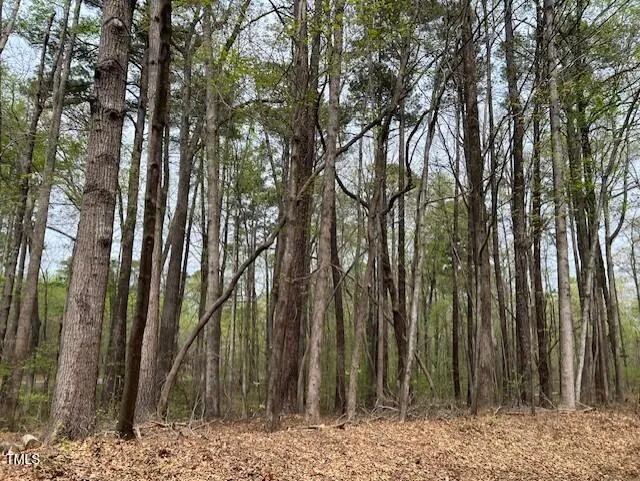 0 Lot 336 Forest Hills Drive Littleton, NC 27850