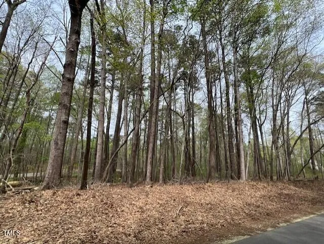 0 Lot 336 Forest Hills Drive Littleton, NC 27850
