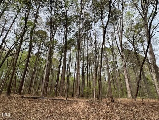 0 Lot 336 Forest Hills Drive Littleton, NC 27850
