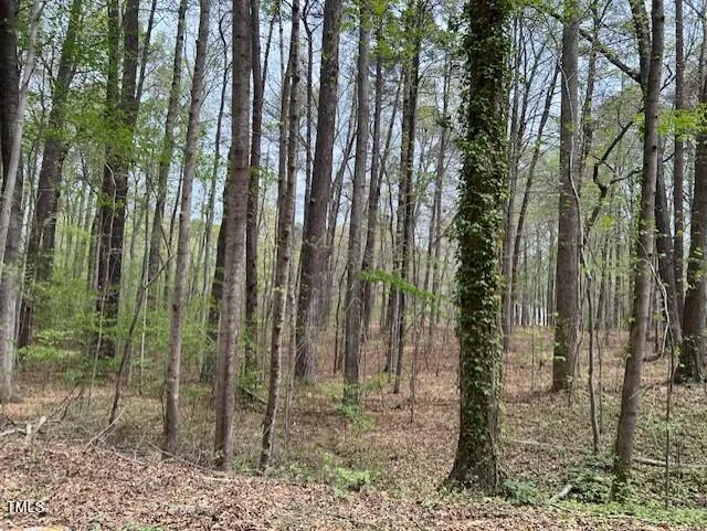0 Lot 336 Forest Hills Drive Littleton, NC 27850