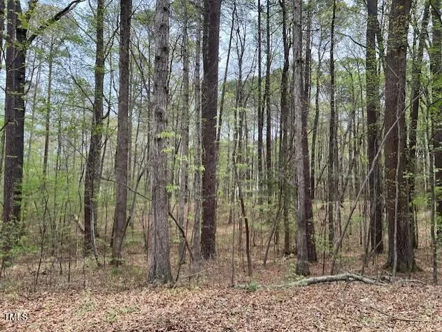 0 Lot 336 Forest Hills Drive Littleton, NC 27850