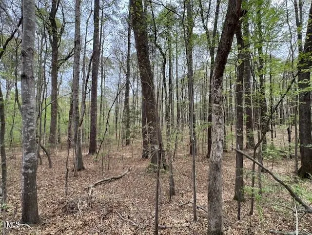 0 Lot 336 Forest Hills Drive Littleton, NC 27850