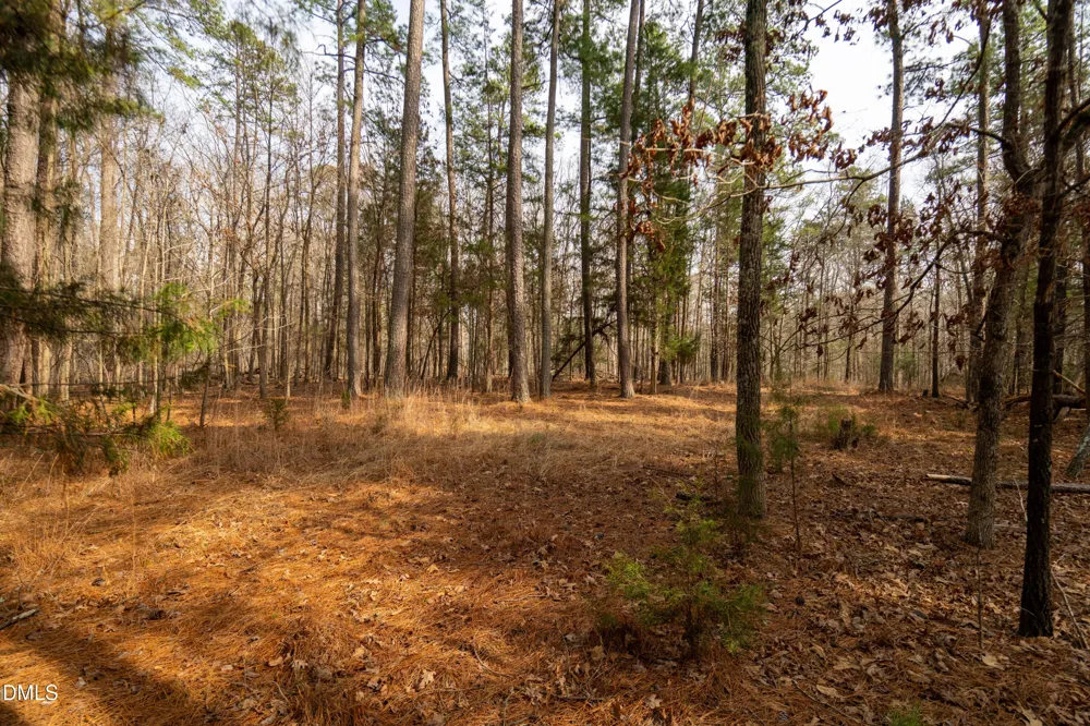 2310 Jones Ferry Road Pittsboro, NC 27312