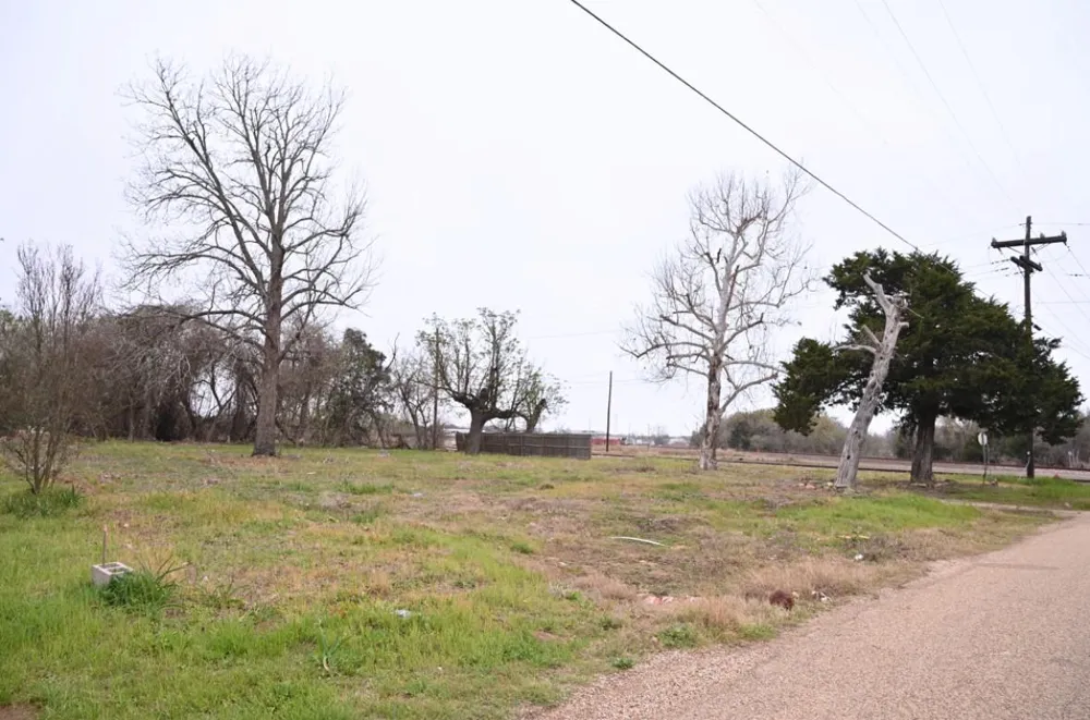 438 Low Wood Road Somerville, TX 77879