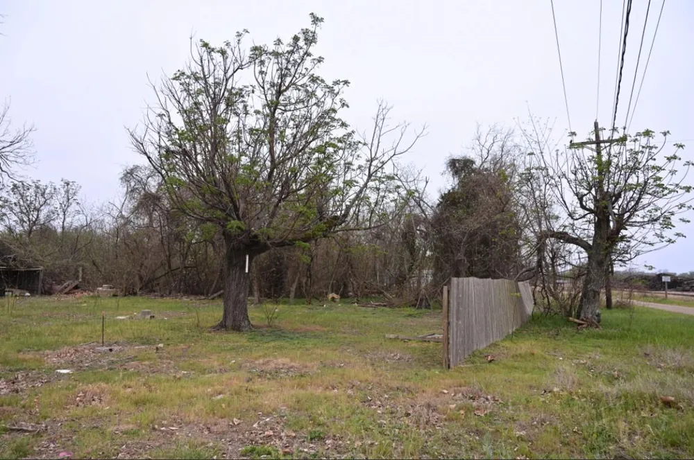 438 Low Wood Road Somerville, TX 77879
