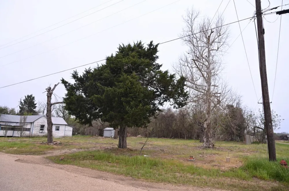 438 Low Wood Road Somerville, TX 77879