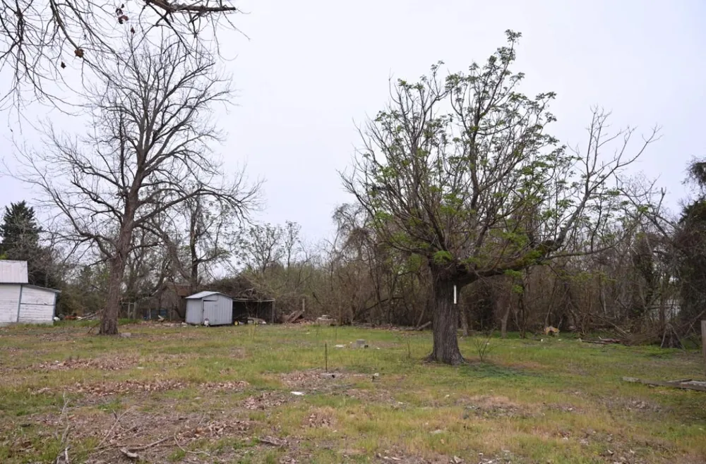 438 Low Wood Road Somerville, TX 77879