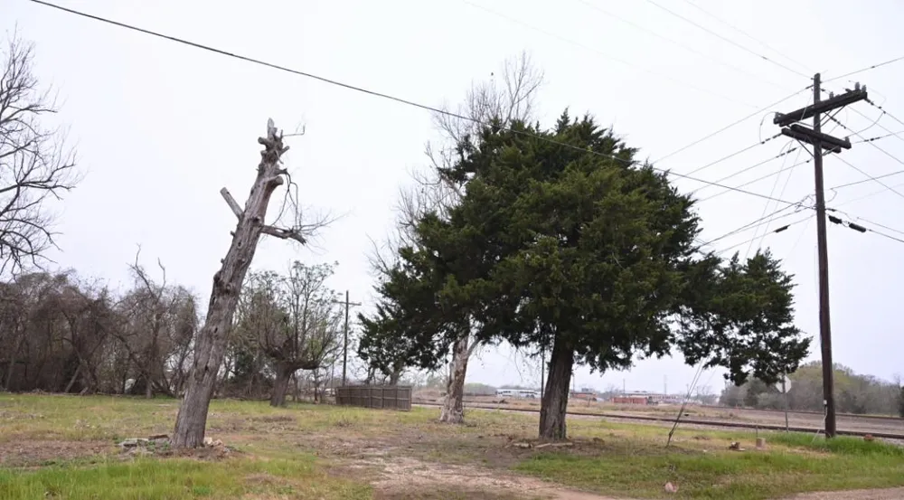 438 Low Wood Road Somerville, TX 77879
