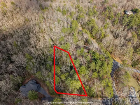 TBD Tsvwagi Court #2/25