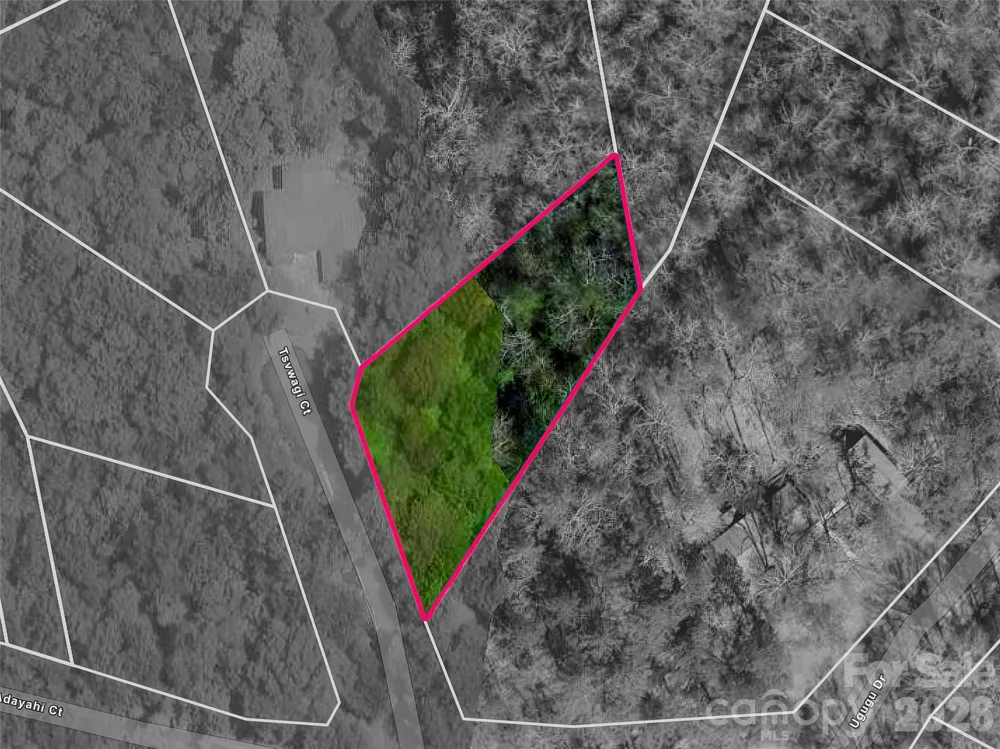 TBD Tsvwagi Court #2/25 Brevard, NC 28712