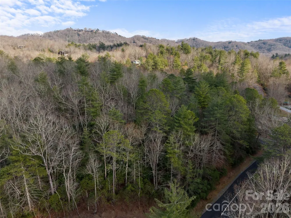 TBD Tsvwagi Court #2/25 Brevard, NC 28712