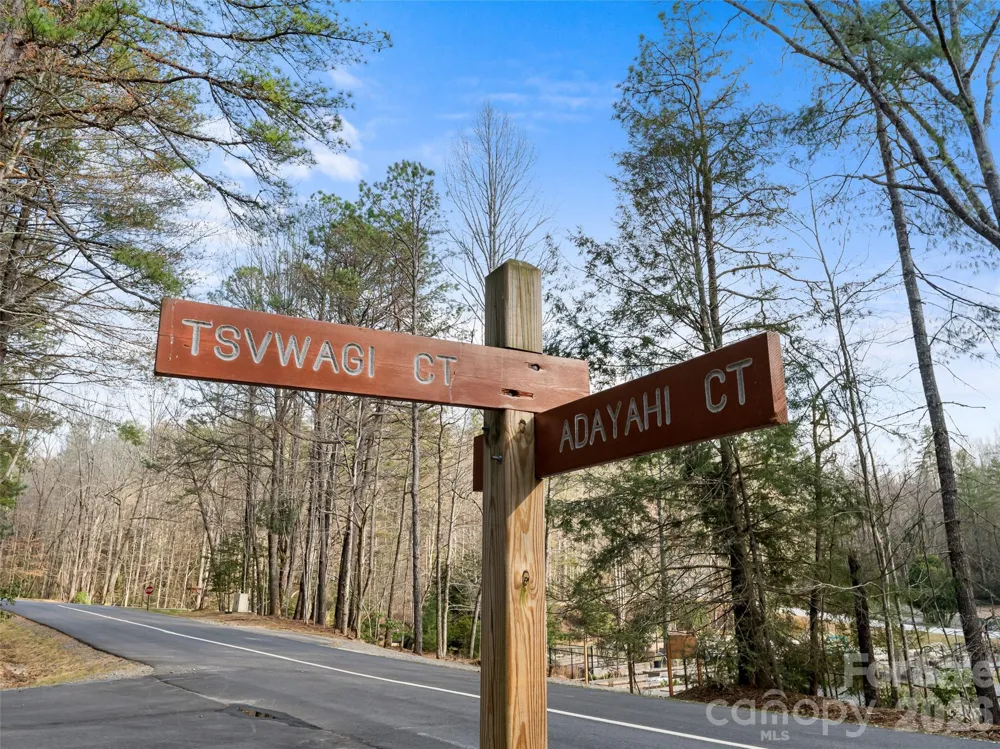 TBD Tsvwagi Court #2/25 Brevard, NC 28712