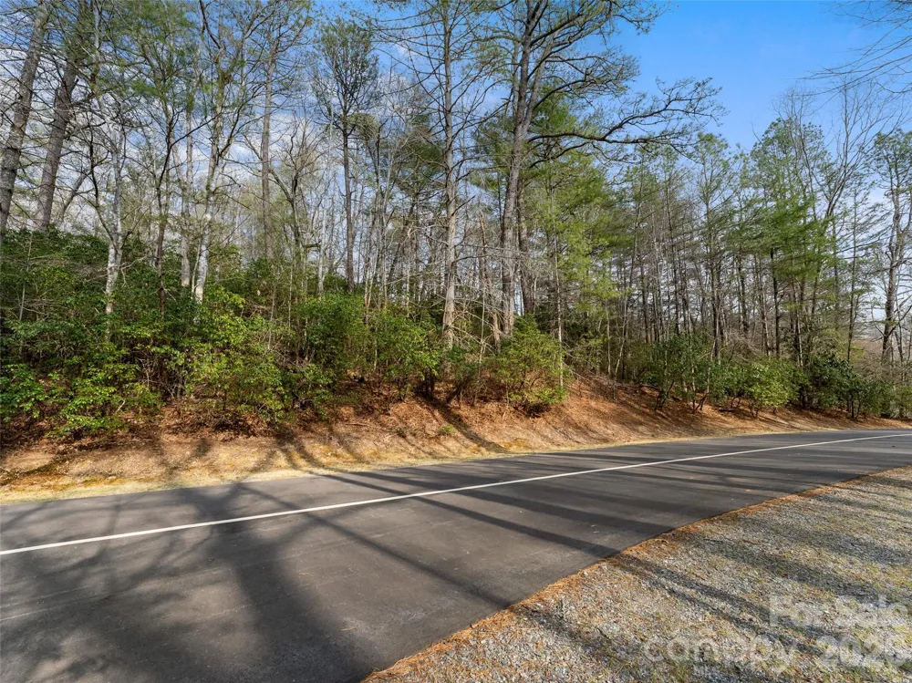 TBD Tsvwagi Court #2/25 Brevard, NC 28712