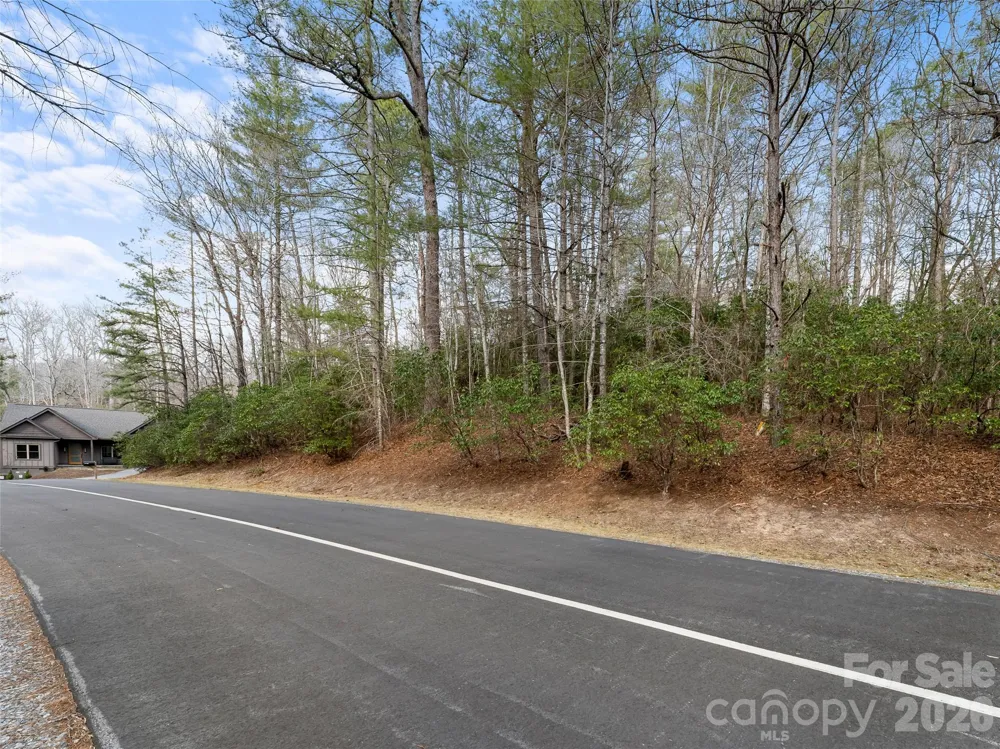 TBD Tsvwagi Court #2/25 Brevard, NC 28712