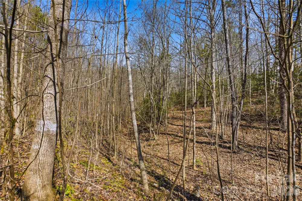7710 Long Bay Parkway #6 Catawba, NC 28609