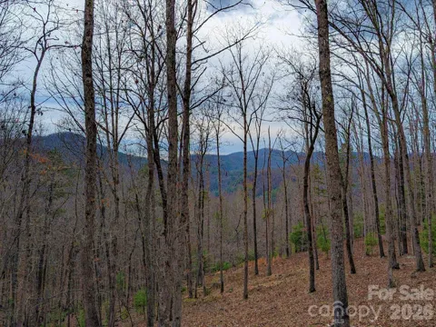 51 Wild Turkey Loop #32
