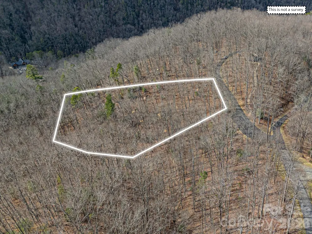 51 Wild Turkey Loop #32 Marshall, NC 28753