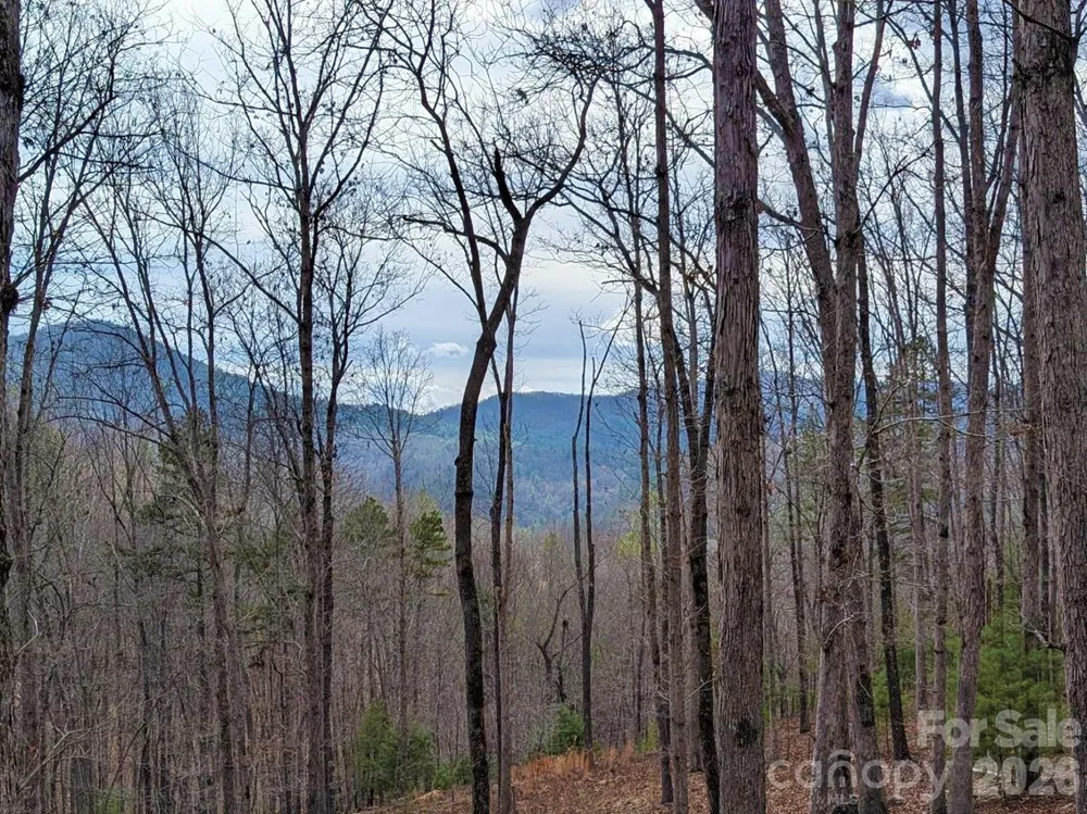 51 Wild Turkey Loop #32 Marshall, NC 28753