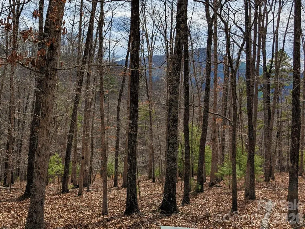 51 Wild Turkey Loop #32 Marshall, NC 28753