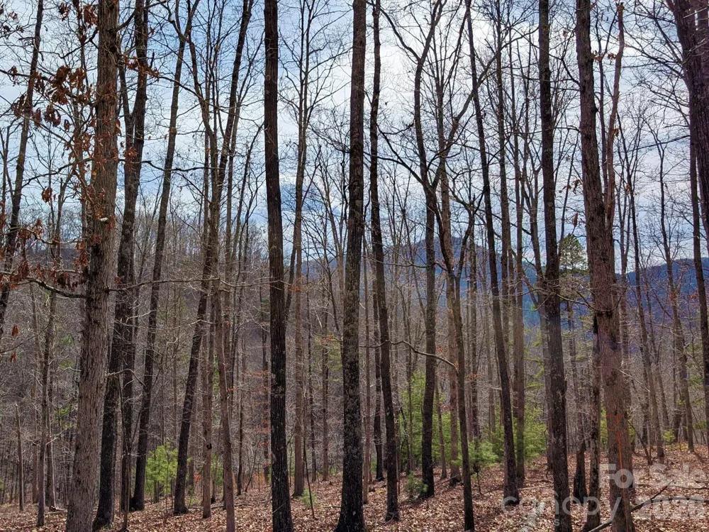 51 Wild Turkey Loop #32 Marshall, NC 28753