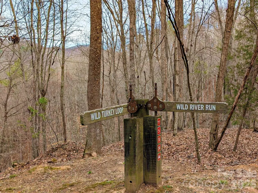 51 Wild Turkey Loop #32 Marshall, NC 28753