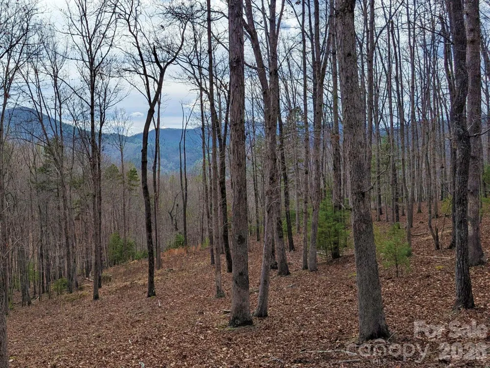 51 Wild Turkey Loop #32 Marshall, NC 28753