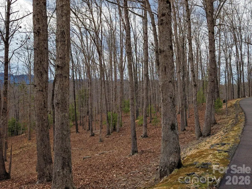 51 Wild Turkey Loop #32 Marshall, NC 28753