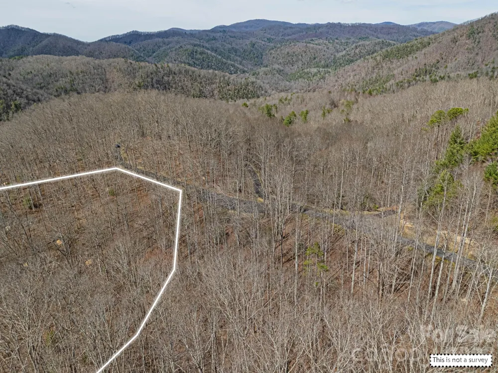 51 Wild Turkey Loop #32 Marshall, NC 28753
