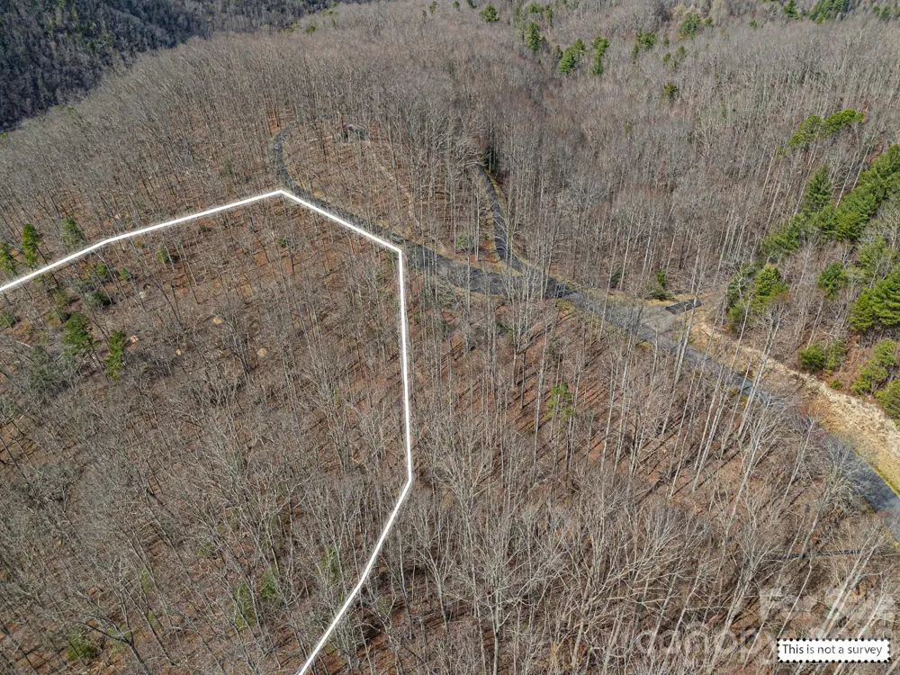 51 Wild Turkey Loop #32 Marshall, NC 28753
