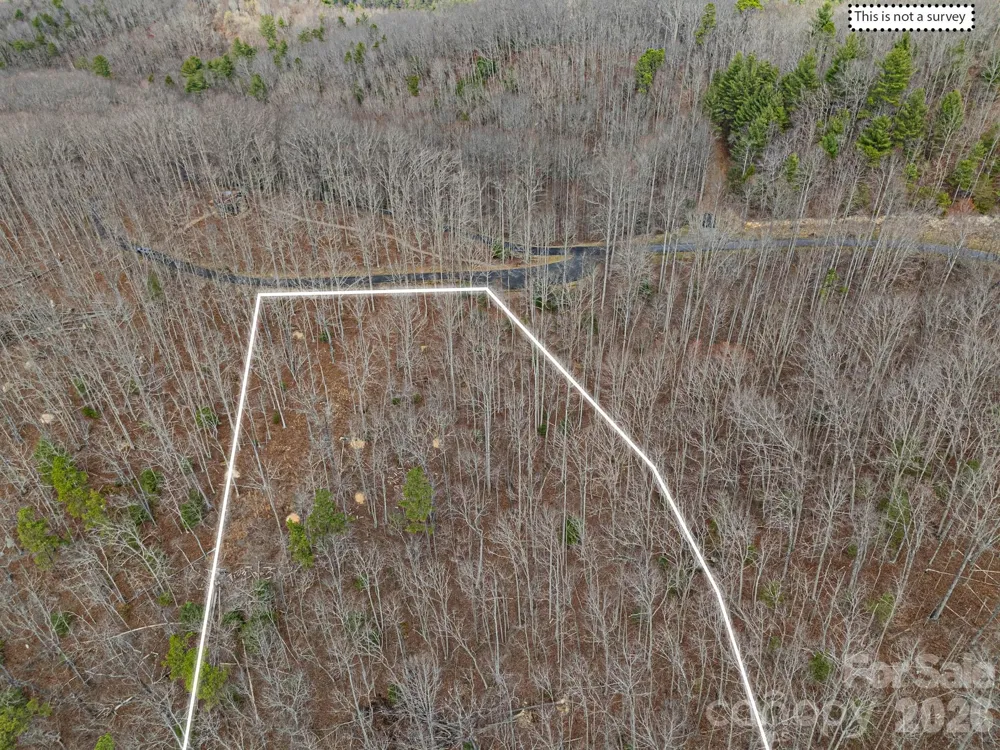 51 Wild Turkey Loop #32 Marshall, NC 28753