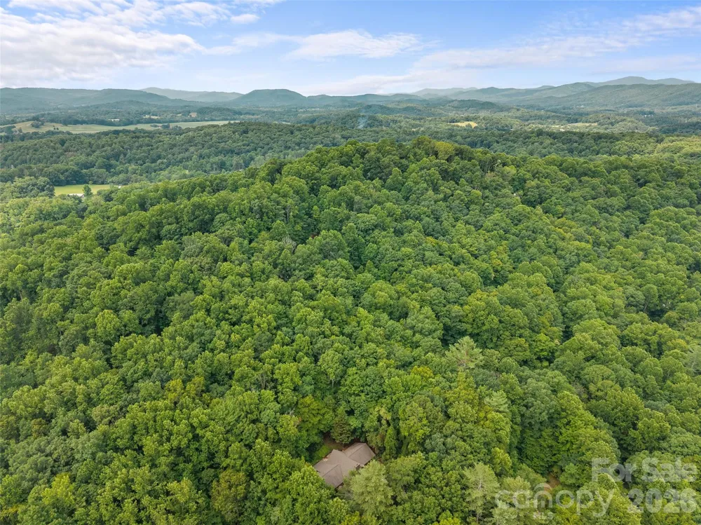 6 Ravenwood Lane Horse Shoe, NC 28742