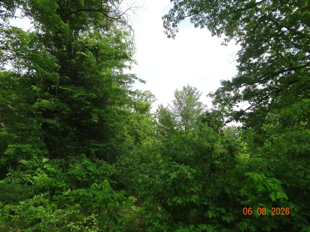 518 S Oak Avenue White Cloud, MI 49349
