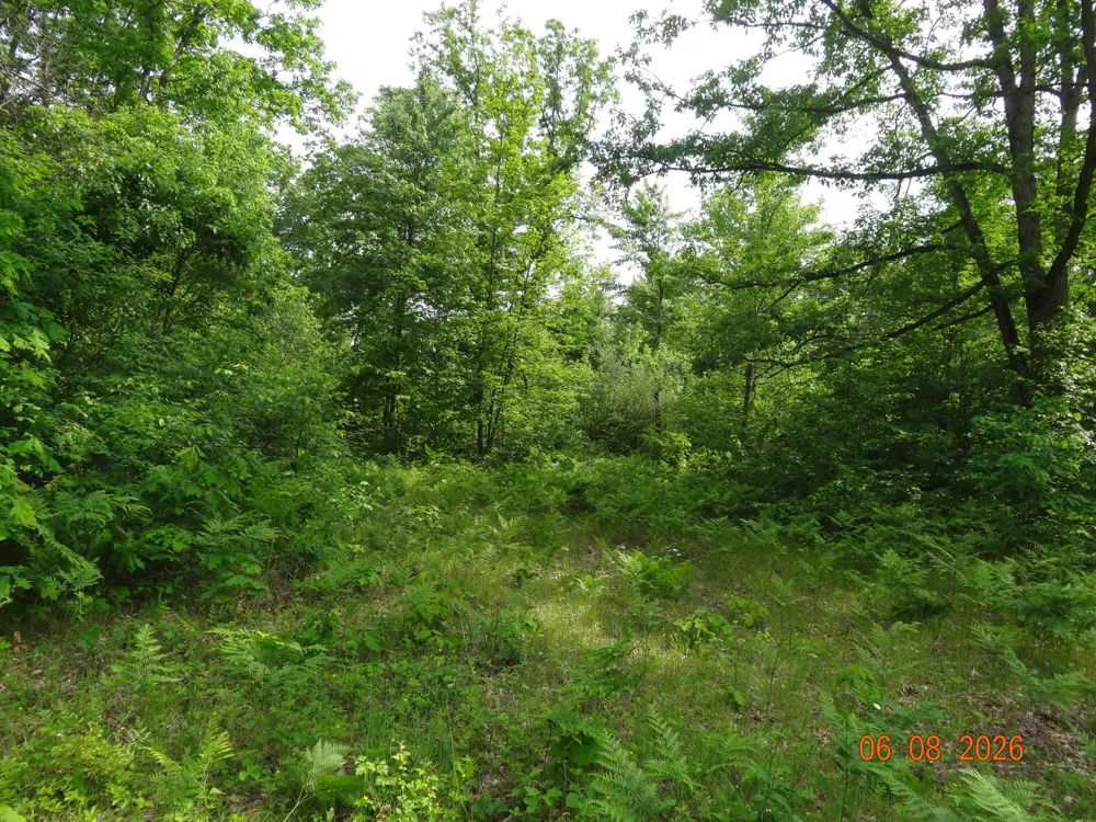 518 S Oak Avenue White Cloud, MI 49349