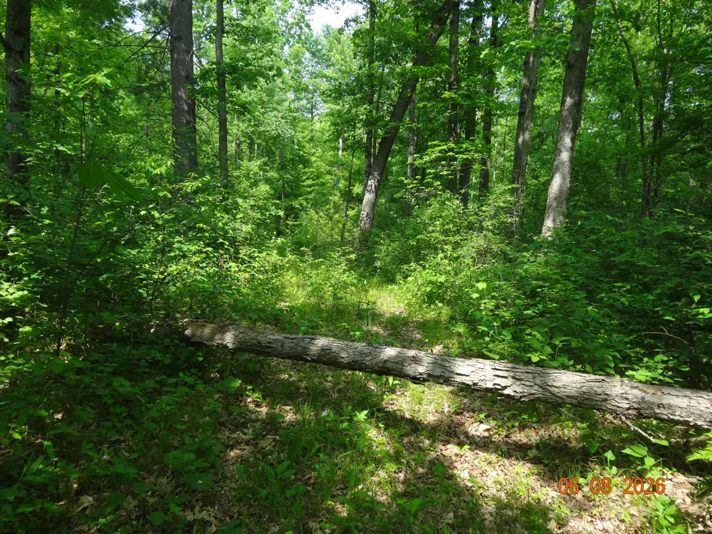 518 S Oak Avenue White Cloud, MI 49349