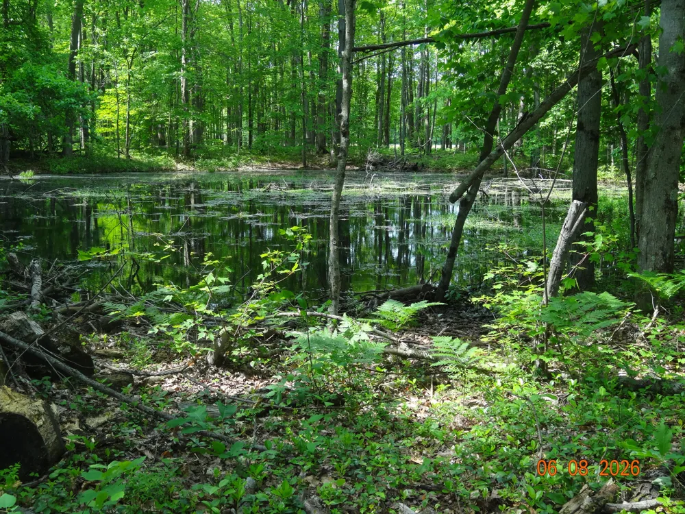 518 S Oak Avenue White Cloud, MI 49349