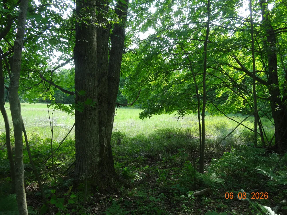 518 S Oak Avenue White Cloud, MI 49349