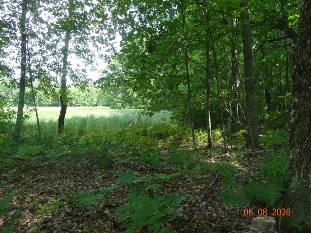 518 S Oak Avenue White Cloud, MI 49349