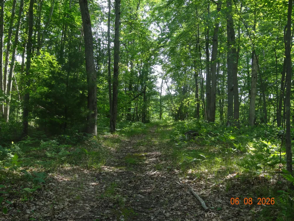 518 S Oak Avenue White Cloud, MI 49349