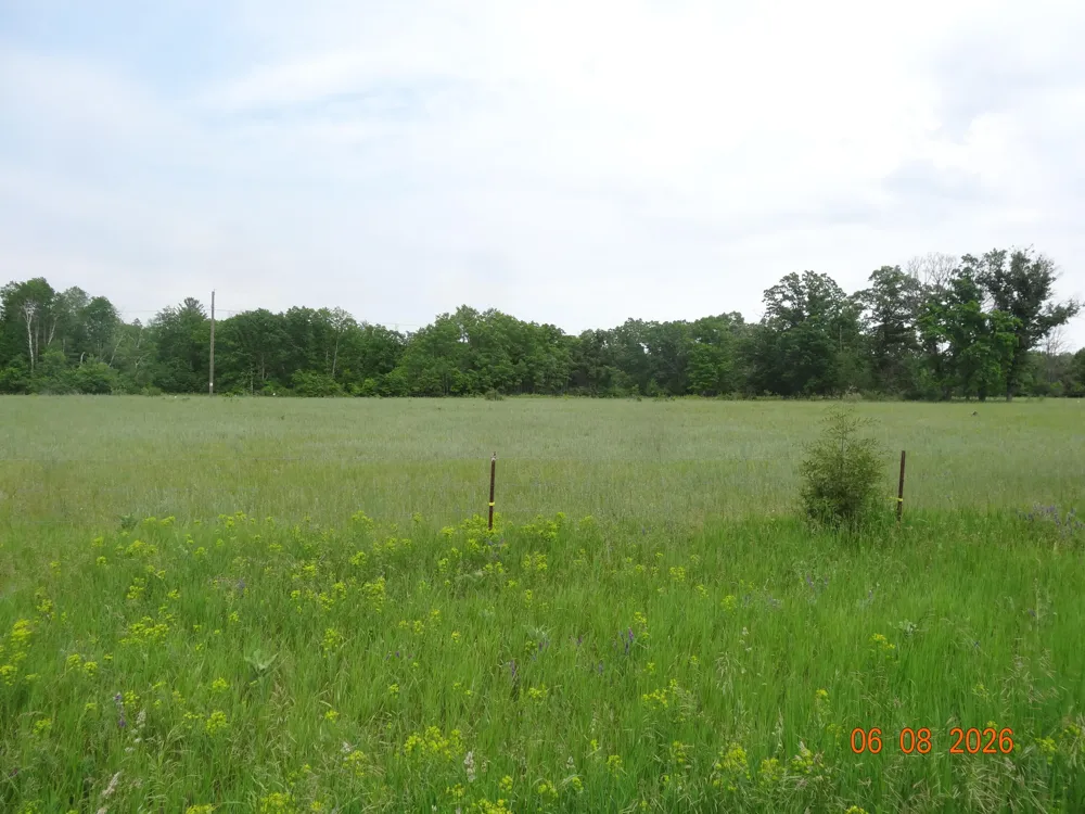 550 S Oak Avenue White Cloud, MI 49349