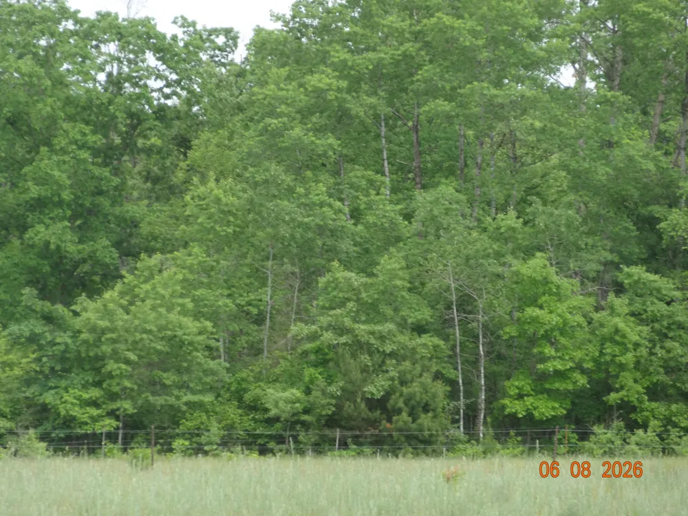 550 S Oak Avenue White Cloud, MI 49349