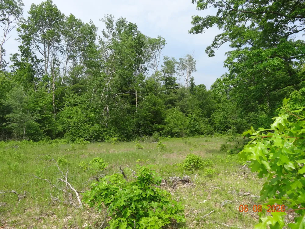 550 S Oak Avenue White Cloud, MI 49349