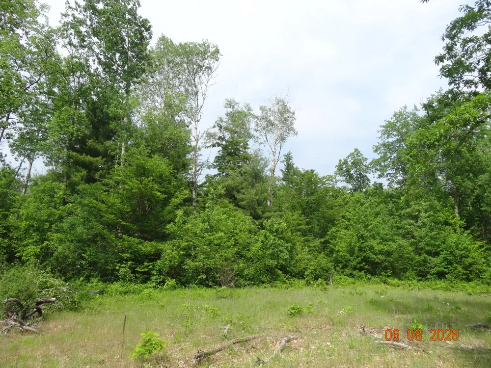 550 S Oak Avenue White Cloud, MI 49349